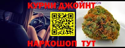 гидра Беслан