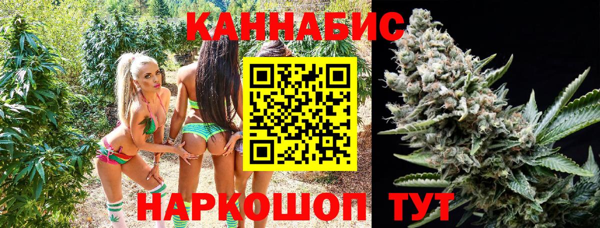 МАРИХУАНА White Widow Кольчугино